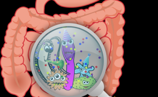 Leaky Gut: what is it and what to do to improve your gut health