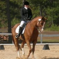 horse trainer cary Green Level Equestrian