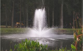 fountain contractor cary Foster Lake & Pond Management, Inc.