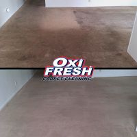 carpet cleaning service cary Oxi Fresh Carpet Cleaning
