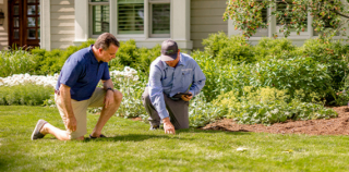 lawn care service cary Spring-Green Lawn Care