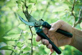 tool grinding service cary Hill's Tree Service