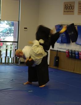 aikido school cary Joshinkan Dojo
