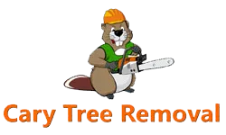 tree service cary Cary Tree Removal