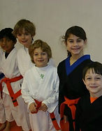 martial arts school cary Ancient Arts Family Karate/Ju-Jitsu Academy