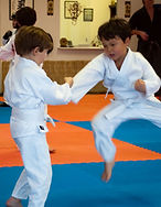 self defense school cary Ancient Arts Family Karate/Ju-Jitsu Academy