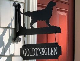 dog breeders in charlotte Goldensglen Goldens
