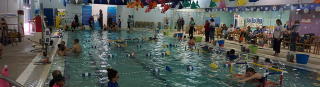 adult swimming lessons charlotte Little Otter Swim School