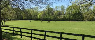 horse riding schools charlotte Cedarhill Farm