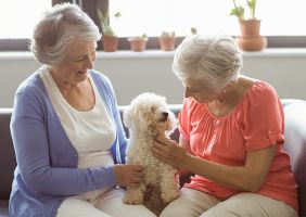 home help for the elderly charlotte Seniors Helping Seniors