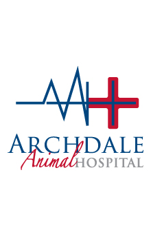 cheap vet charlotte Archdale Animal Hospital