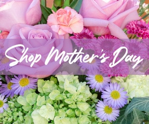 Mother's Day Flowers Shop Now >
