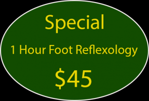 reflexology courses charlotte Jia Foot Spa