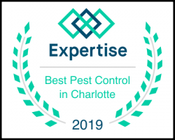 termites charlotte Clegg’s Termite & Pest Control - Charlotte