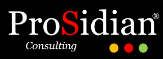 consultants charlotte ProSidian Consulting