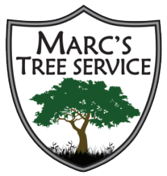 tree pruning charlotte Marc's Tree Service