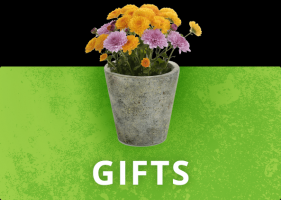 bonsai plant supplier fayetteville Green Side Up Garden & Gifts