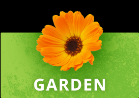 garden center fayetteville Green Side Up Garden & Gifts