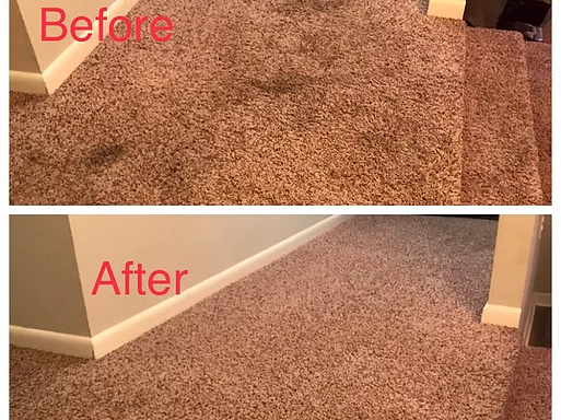 carpet cleaning service fayetteville Stains Be Gone Carpet Cleaning, LLC
