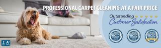 carpet cleaning service fayetteville Williams Carpet Care