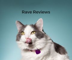 Rave Reviews