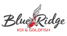 fish farm greensboro Blue Ridge Koi and Goldfish