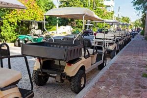 golf cart dealer greensboro Golf Cart World