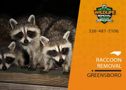 animal control service greensboro AAAC Wildlife Removal of Greensboro