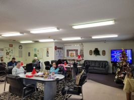 adult day care center greensboro Triad Adult Daycare