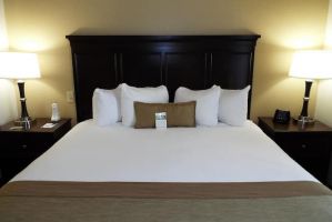 Guest room at the Wingate by Wyndham Greensboro in Greensboro, North Carolina