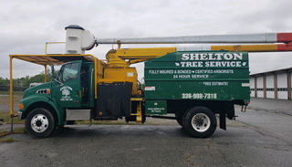Shelton Tree Service | Greensboro, NC | (336) 988-7318