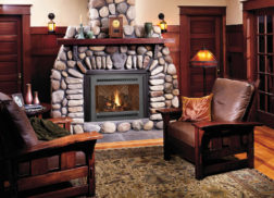butane stoves raleigh The Fire Place and Patio, Inc