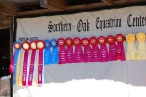 horseback riding lessons raleigh Southern Oak Equestrian Center