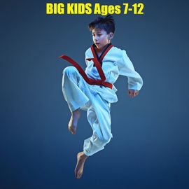 taekwondo lessons raleigh KICKS Tae Kwon Do
