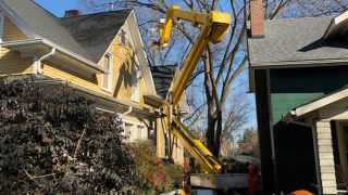 tree pruning raleigh A+ Tree & Crane Services, Inc.