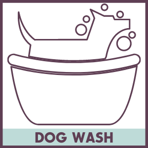 dog washing raleigh Woofinwaggle