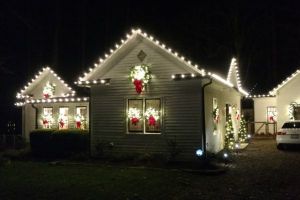 christmas stores raleigh NC Christmas Lights