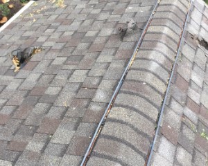 roofing contractor wilmington Norato Roofing & Renovations LLC