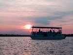 whale watching tour agency wilmington Wrightsville Beach Scenic Tours