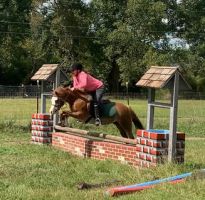 equestrian facility wilmington Empire Equestrian, LLC