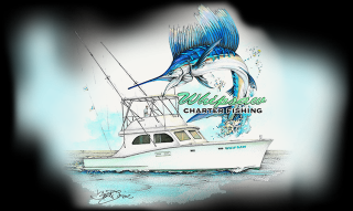 fishing charter wilmington Topsail Beach Fishing Charter