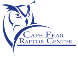 bird watching area wilmington Cape Fear Raptor Center