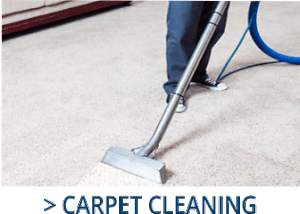 curtain and upholstery cleaning service wilmington Farriss Carpet and Cleaning Services