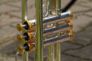 Trumpet valves Varno Musical Instrument Repair